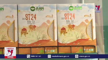 Bản tin thời sự 11h ngày 24/01/2023