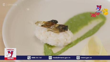 Thực phẩm bền vững cho tương lai 