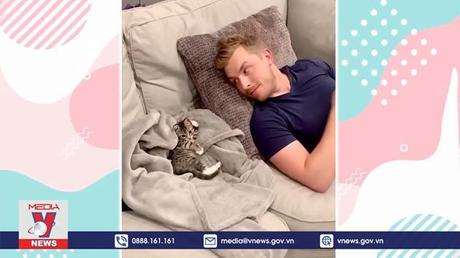 Lợi ích ít ai biết khi nuôi mèo