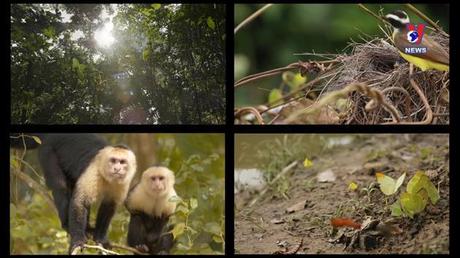 Thông điệp lịch sử: Amazon - Dòng sông bí ẩn