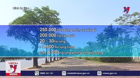 Hà Nội sẽ trồng mới 250.000 cây trên các tuyến đường