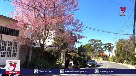 Bàn tin thời sự 08h ngày 25/01/2023