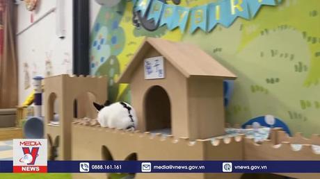 “Cháy phòng” khách sạn thỏ ở Hong Kong