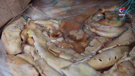 Đường dây nóng 389 ngày 26/01/2023