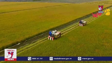 Năm 2023 sẽ có thêm 1.600 hợp tác xã nông nghiệp