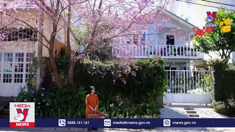 Lonely Planet gọi Đà Lạt và Sa Pa là 