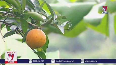 Bản tin Thời sự 8h ngày 27/01/2023