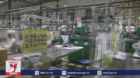 Phát triển kinh tế đi đôi bảo vệ môi trường để tăng trưởng xanh