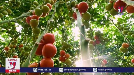  Doanh nghiệp phát triển bền vững gắn với kinh tế xanh