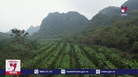 Khai thác tiềm năng cho nông nghiệp tuần hoàn