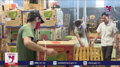 Bản tin Thời sự 11h ngày 28/01/2023