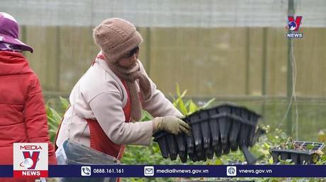 Bản tin thời sự 21h ngày 28/01/2023