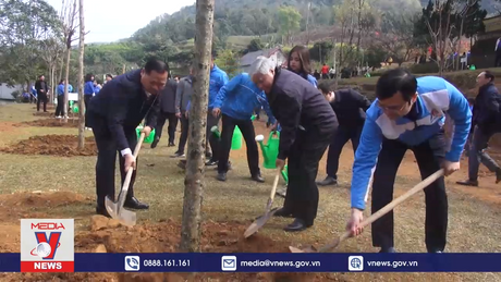Phát động Tết trồng cây “Đời đời nhớ ơn Bác Hồ” tại Hòa Bình