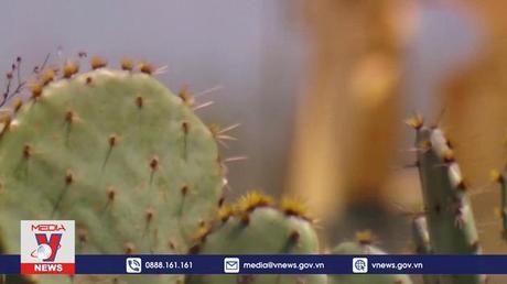 Hạ viện Mỹ thông qua dự luật liên quan kho dự trữ dầu quốc gia