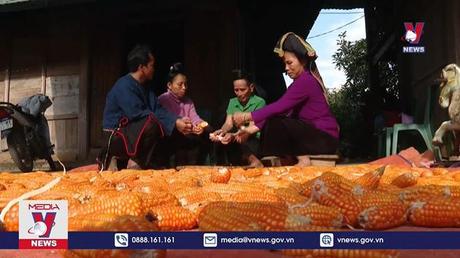 Khởi sắc ở vùng tái định cư