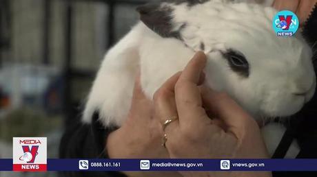 Thú cưng lý tưởng của năm 2023