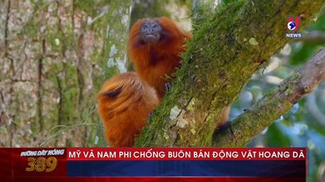 Đường dây nóng 389 ngày 30/01/2023