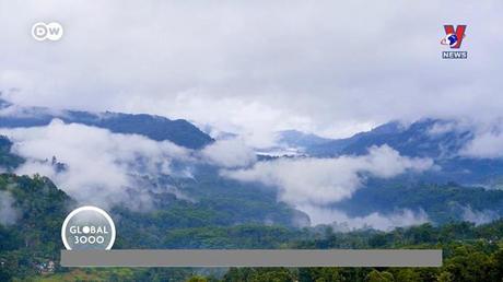 Tạp chí Toàn cầu ngày 31/1/2023