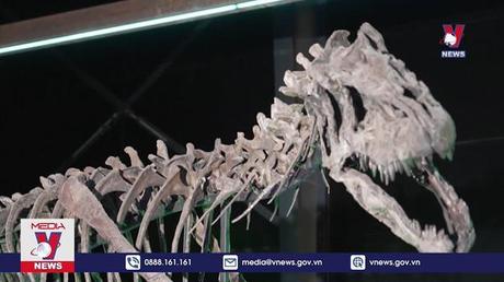 Bảo tàng mới về hóa thạch khủng long