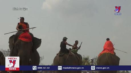 Không cưỡi voi du lịch tại Lễ hội Cà phê 2023 