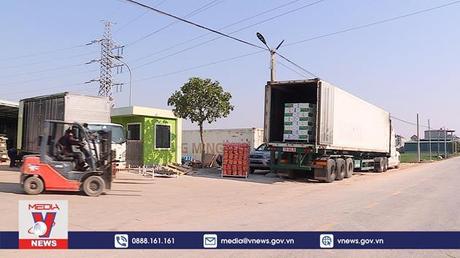 Nhật trình kinh tế ngày 31/1/2023