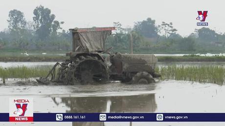 Hơn 96% diện tích gieo cấy vụ xuân tại Hà Nam đã lấy đủ nước