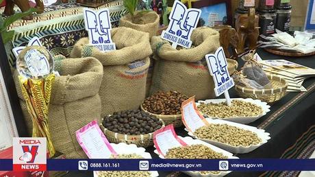 Đưa Buôn Ma Thuột thành điểm đến của cà phê thế giới