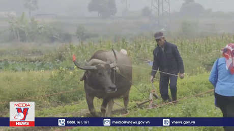 Vùng cao biên giới Lào Cai tổ chức lễ hội xuống đồng