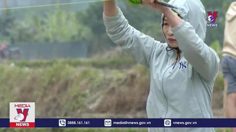 Tuyên Quang khẩn trương gieo cấy 18.000 ha lúa vụ xuân