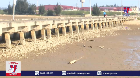 Nhiều cảng cá bị bồi lấp khiến tàu thuyền công suất lớn không thể ra khơi