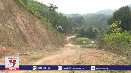 Thanh Hóa chuyển đổi đất rừng tự nhiên để làm đường