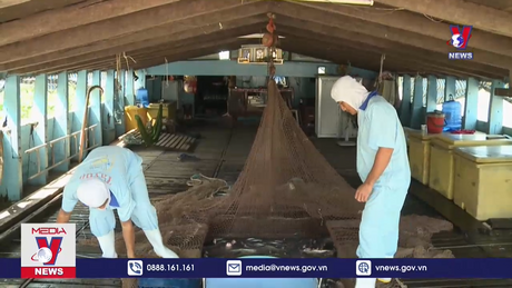 Quý 2 sẽ xuất khẩu mạnh thủy sản sang các thị trường lớn