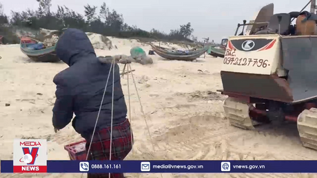 Ngư dân vùng bãi ngang Quảng Bình được mùa cá khoai