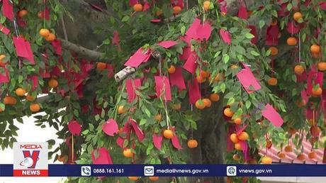 Lễ chùa đầu năm ở Hong Kong (Trung Quốc)