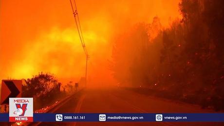 Chile mở rộng tình trạng khẩn cấp do cháy rừng