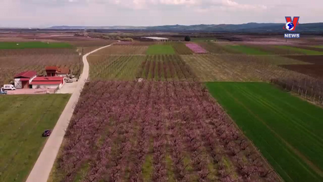 Cuộc sống xanh ngày 05/02/2023