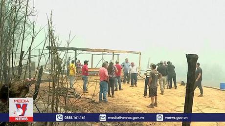 Thiệt hại nặng nề do cháy rừng tại Chile