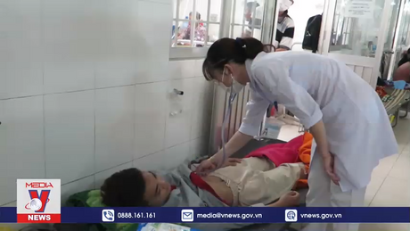 Cảnh báo ngộ độc do ăn nhầm con so biển