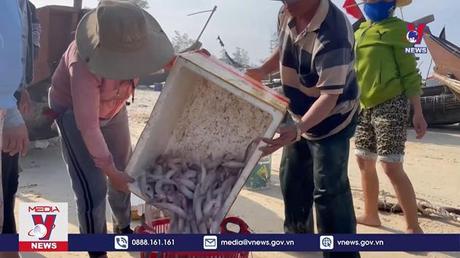 Bản tin thời sự 17h ngày 07/02/2023