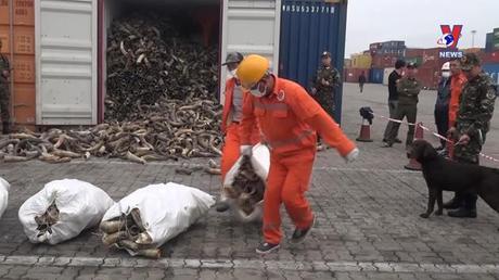 Đường dây nóng 389 ngày 07/02/2023