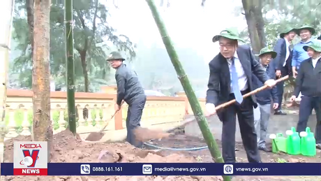 Phục hồi và quản lý bền vững rừng ngập mặn vùng Đồng bằng sông Hồng