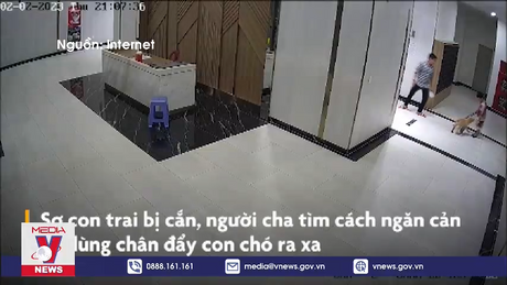 Xử lý nghiêm vụ chủ chó đánh người ở chung cư