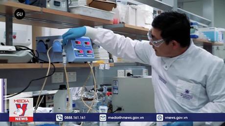 EU xem xét cấm các loại 