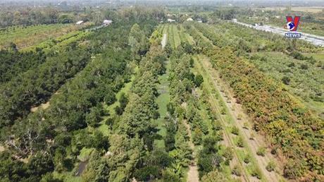 Nhật trình kinh tế ngày 08/02/2023