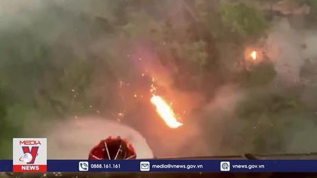 Cháy rừng ở nhiều nơi trên thế giới