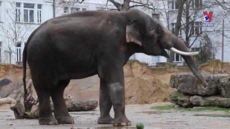 Thú vị năm châu ngày 09/02/2023