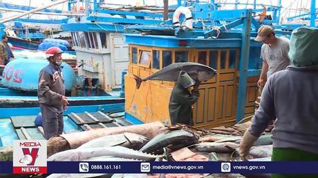 Ngư dân Phú Yên vươn khơi đầu năm