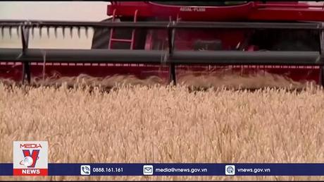 Xuất khẩu nông sản của Argentina đạt kỷ lục mới