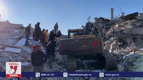 Lựa chọn của những người sống sót