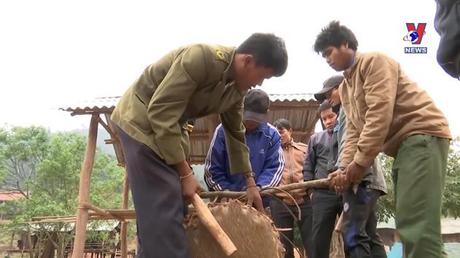 Văn hóa toàn cảnh ngày 09/02/2023